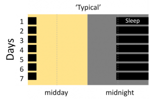 CRSD_typical-300x201